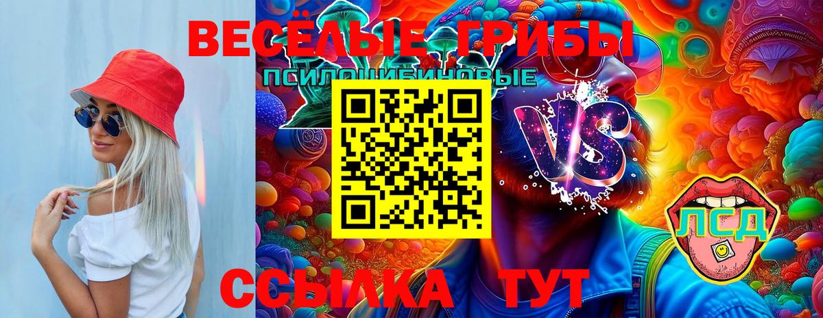 Киселёвск  наркошоп  Вход с VPN  Галлюциногенные грибы мицелий 