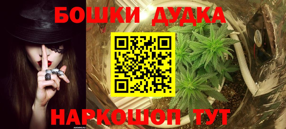 Марихуана OG Kush Киселёвск